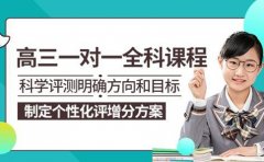 龙文教育广州龙文教育高一一对一定制课程大揭